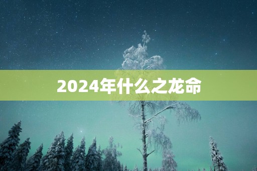 2025年什么之龙命