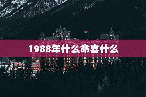 1988年什么命喜什么