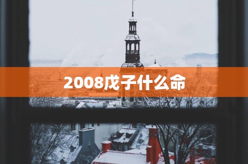 2008戊子什么命