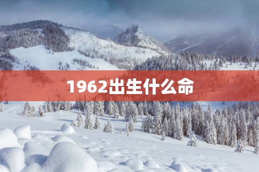1962出生什么命