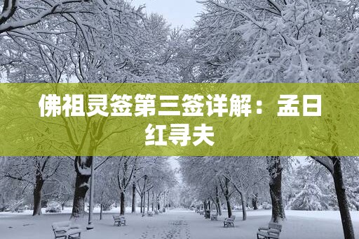 佛祖灵签第三签详解：孟日红寻夫