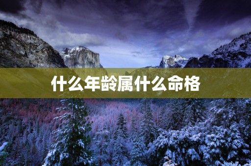 什么年龄属什么命格