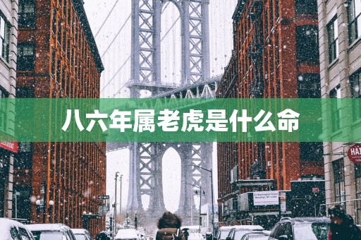 八六年属老虎是什么命