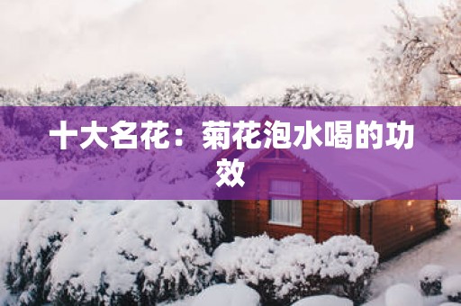 十大名花：菊花泡水喝的功效