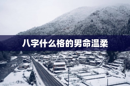 八字什么格的男命温柔