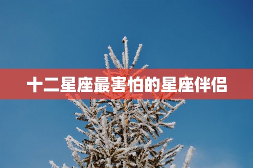 十二星座最害怕的星座伴侣
