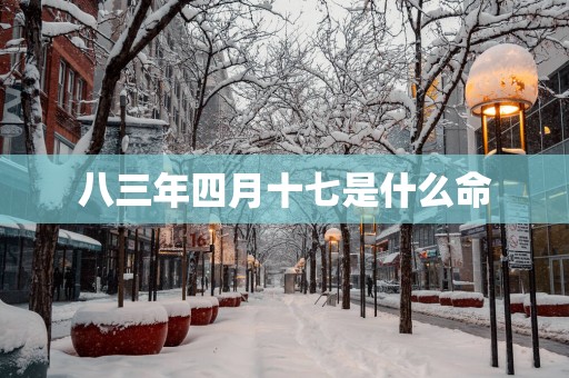八三年四月十七是什么命