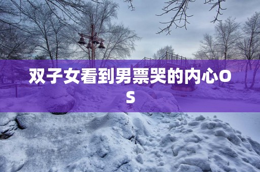 双子女看到男票哭的内心OS