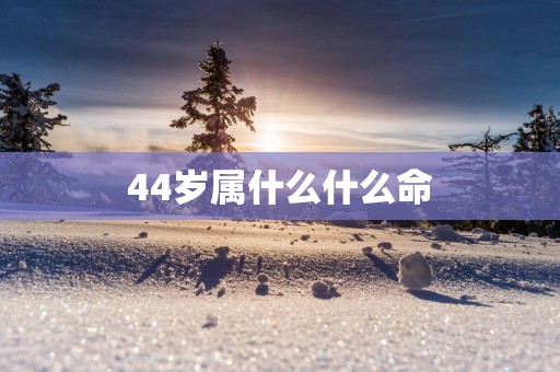 44岁属什么什么命