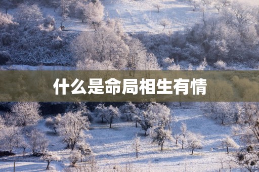 什么是命局相生有情
