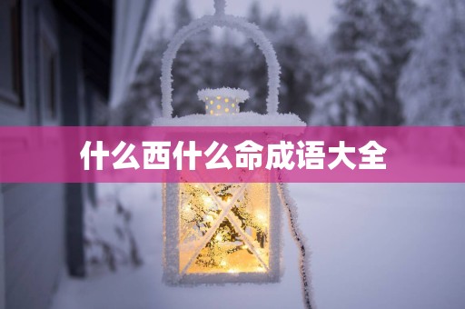 什么西什么命成语大全