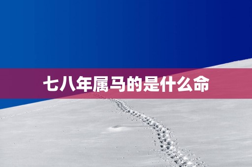 七八年属马的是什么命