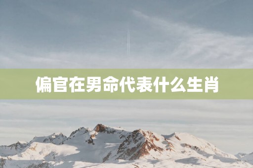 偏官在男命代表什么生肖