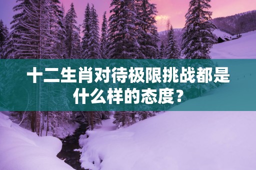 十二生肖对待极限挑战都是什么样的态度？