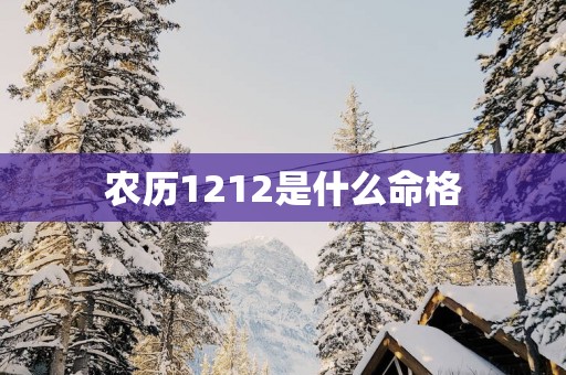 农历1212是什么命格