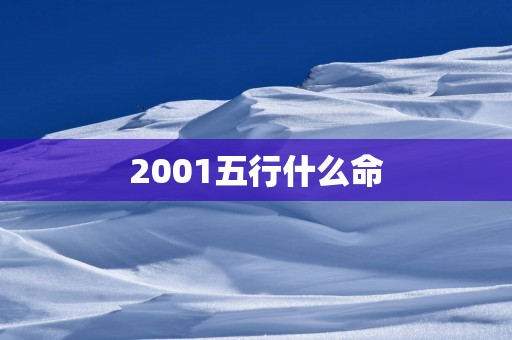 2001五行什么命