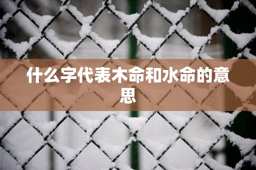 什么字代表木命和水命的意思