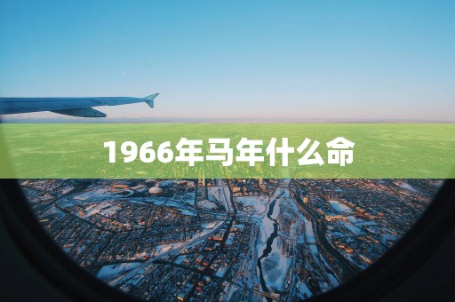 1966年马年什么命