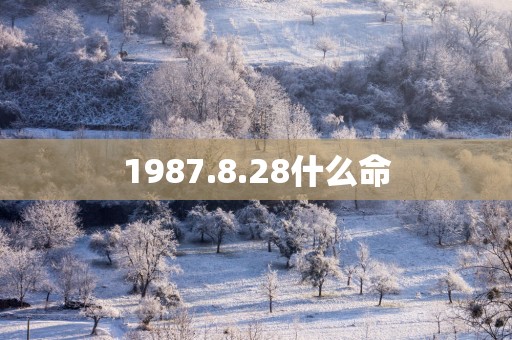 1987.8.28什么命