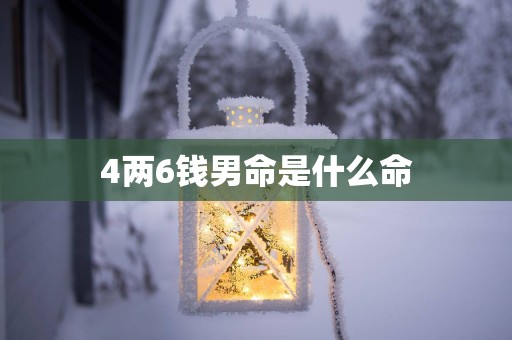 4两6钱男命是什么命