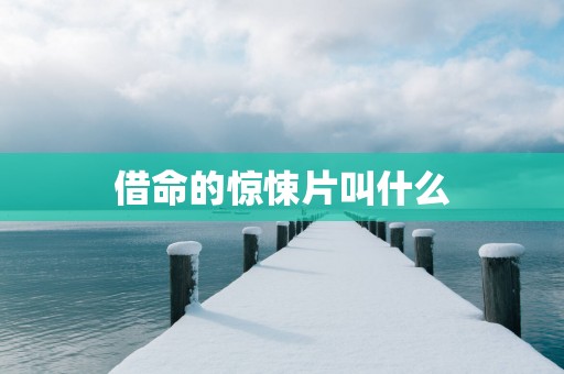 借命的惊悚片叫什么