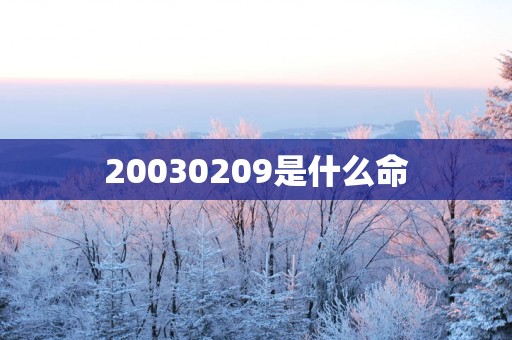 20030209是什么命
