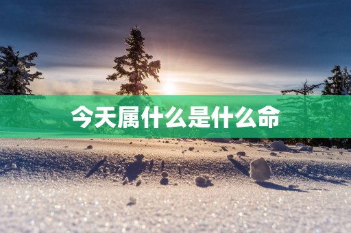 今天属什么是什么命