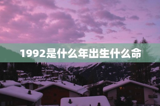 1992是什么年出生什么命