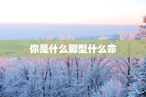 你是什么脚型什么命