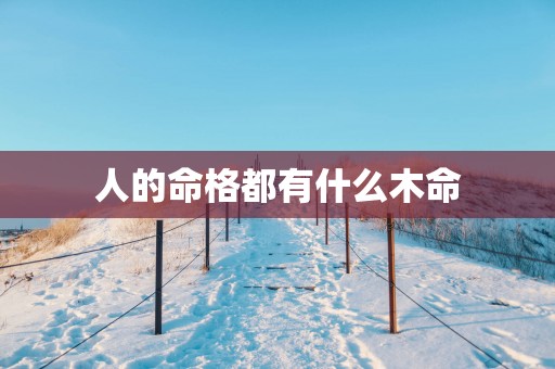 人的命格都有什么木命