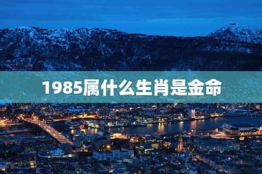 1985属什么生肖是金命