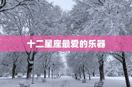 十二星座最爱的乐器