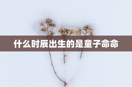 什么时辰出生的是童子命命