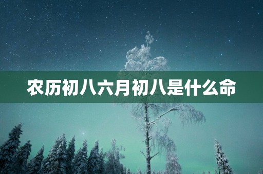 农历初八六月初八是什么命