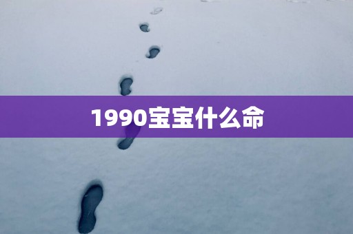 1990宝宝什么命