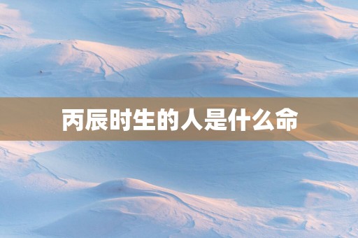 丙辰时生的人是什么命
