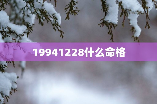 19941228什么命格