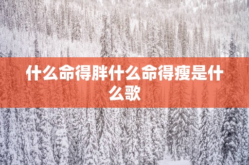 什么命得胖什么命得瘦是什么歌
