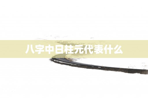 八字中日柱元代表什么