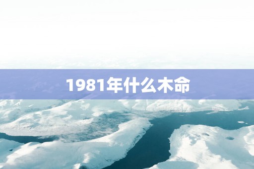 1981年什么木命