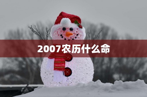 2007农历什么命