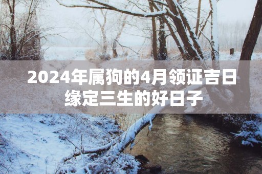 2025年属狗的4月领证吉日 缘定三生的好日子