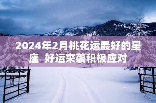 2025年2月桃花运最好的星座  好运来袭积极应对