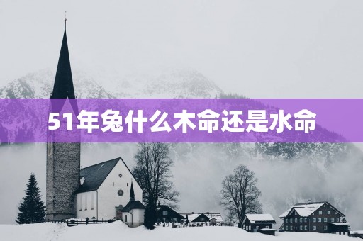 51年兔什么木命还是水命