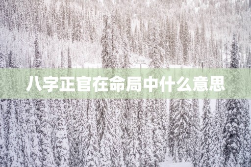 八字正官在命局中什么意思