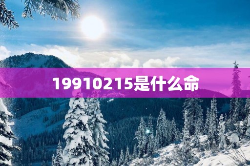 19910215是什么命