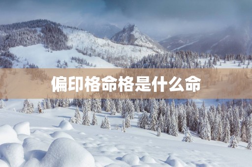 偏印格命格是什么命