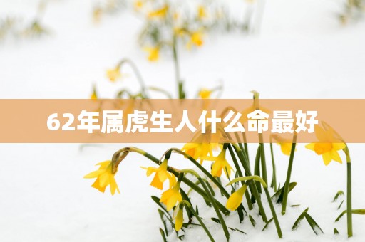 62年属虎生人什么命最好