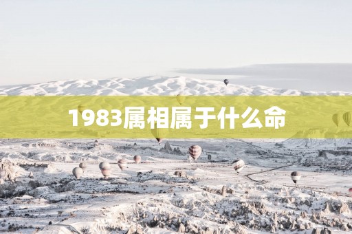1983属相属于什么命