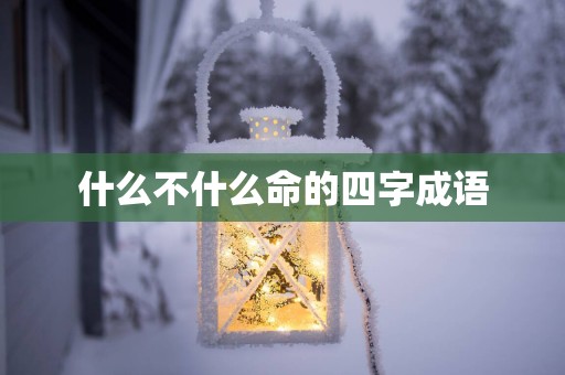 什么不什么命的四字成语